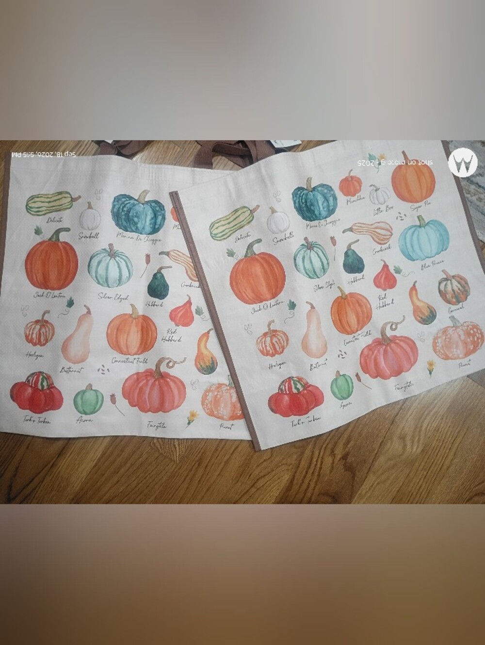 Pumpkin and squash varieties reusable tote bags (2)